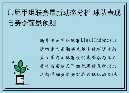 印尼甲组联赛最新动态分析 球队表现与赛季前景预测